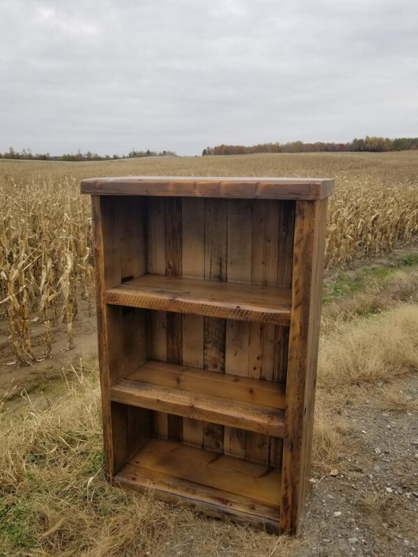 Bibliothèque bois centenaire